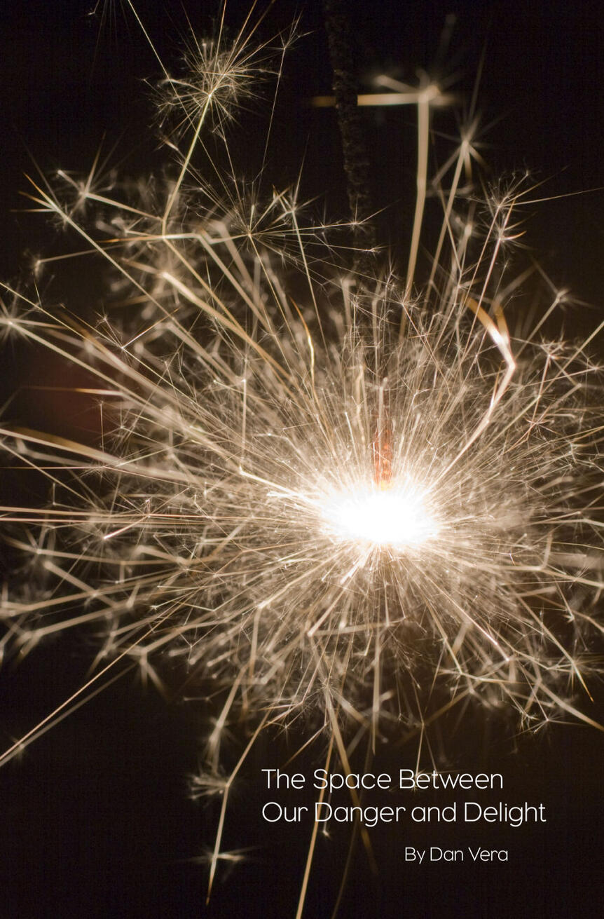 The Space Between Our Danger and Delight by Dan Vera The Space Between Our Danger and Delight by Dan Vera